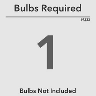 19233